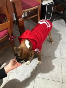 Felpa Cane Giacca Adidog Maglia con cappuccio - Abbigliament