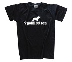 Ha Ottenuto Francese Bulldog Bulldog Francese Cane Sport Cin