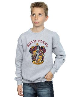 Harry Potter Bambini e ragazzi Gryffindor Crest Felpa