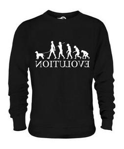Irlandese Acqua Spaniel Evoluzione Umana Unisex Maglione Uom